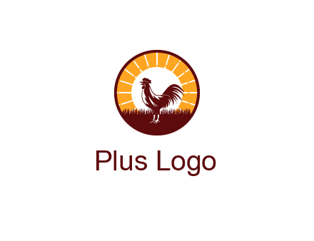 rooster standing in front of the sun logo