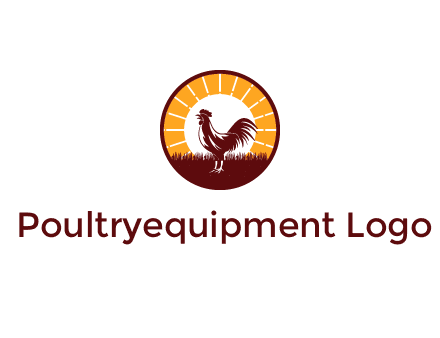 rooster standing in front of the sun logo