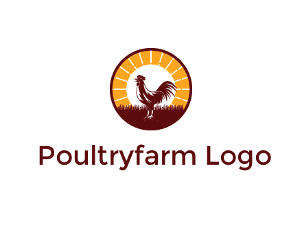 rooster standing in front of the sun logo
