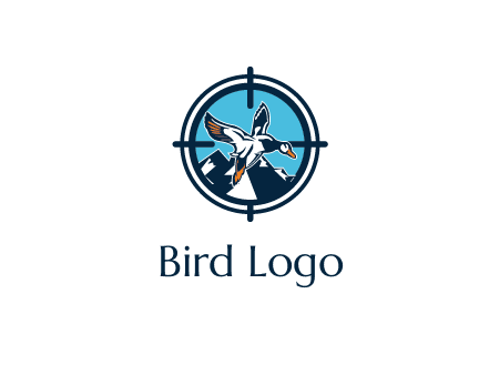 flying duck target