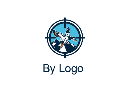 flying duck target