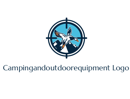 flying duck target