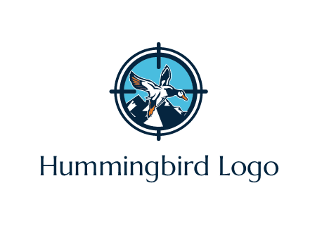 flying duck target