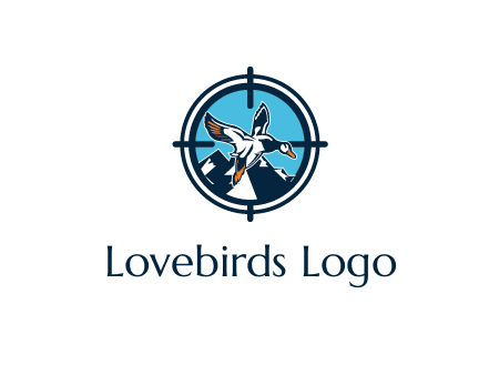 flying duck target