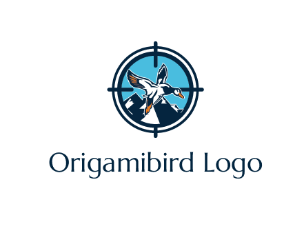 flying duck target