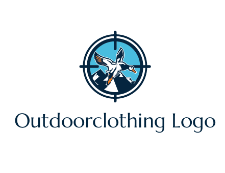 flying duck target