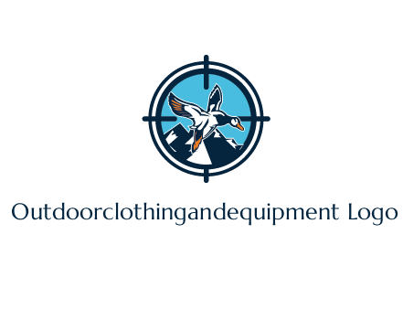 flying duck target