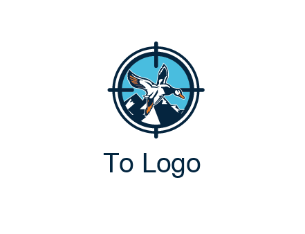 flying duck target