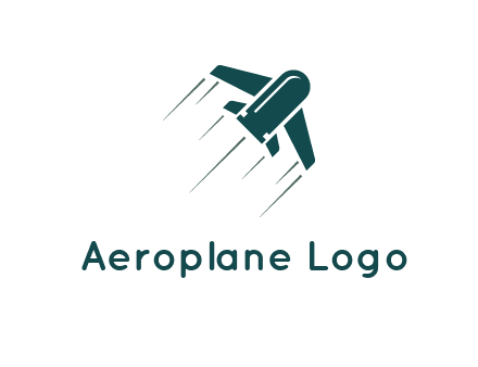 airplane flight icon