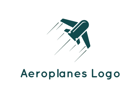 airplane flight icon