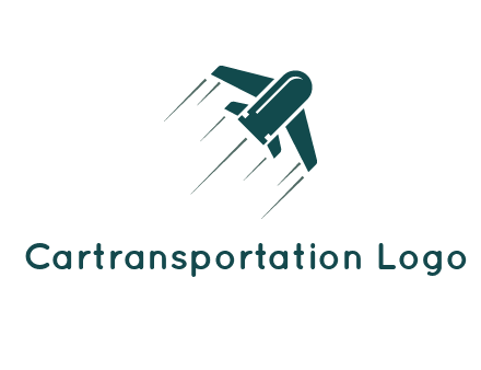 airplane flight icon