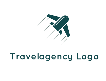 airplane flight icon