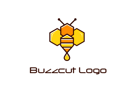 geometrical bee made with honeycombs