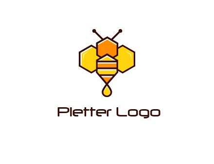 geometrical bee made with honeycombs