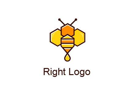 geometrical bee made with honeycombs