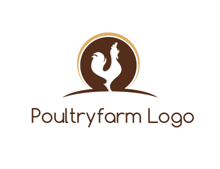 rooster standing upright
