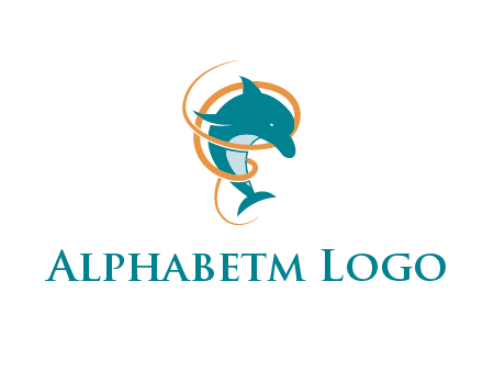 swirl surrounding a dolphin
