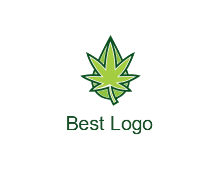 water droplet behind marijuana leaf