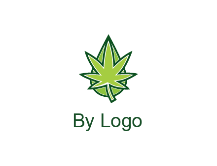 water droplet behind marijuana leaf