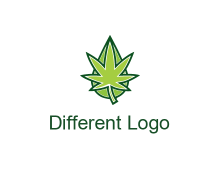 water droplet behind marijuana leaf