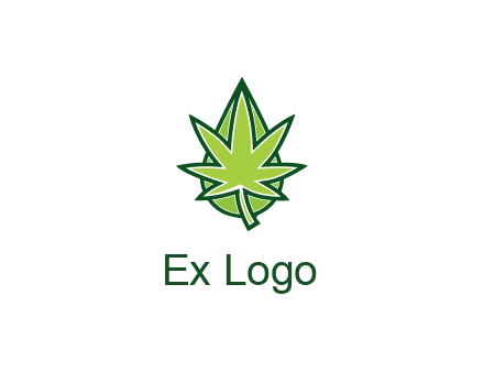 water droplet behind marijuana leaf