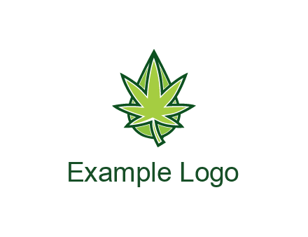 water droplet behind marijuana leaf