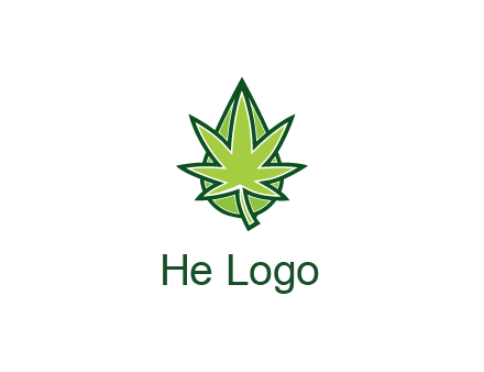 water droplet behind marijuana leaf