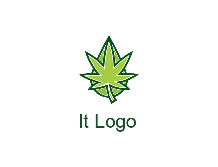 water droplet behind marijuana leaf