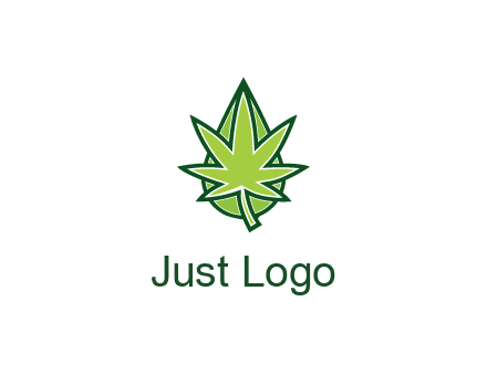 water droplet behind marijuana leaf
