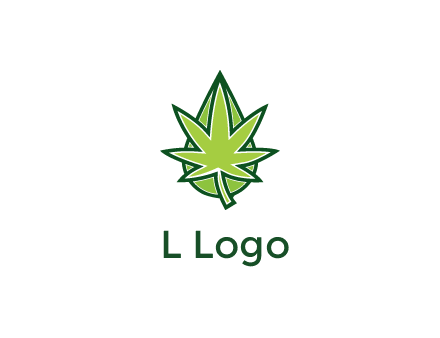 water droplet behind marijuana leaf