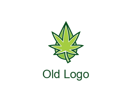 water droplet behind marijuana leaf