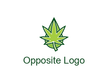 water droplet behind marijuana leaf