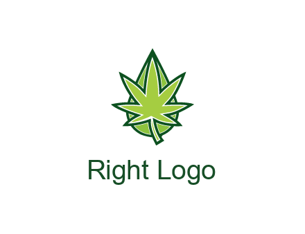 water droplet behind marijuana leaf