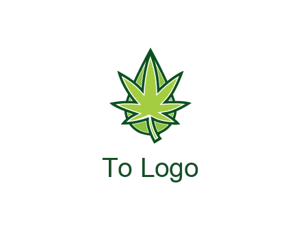 water droplet behind marijuana leaf