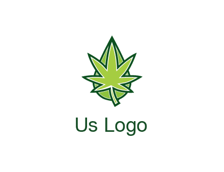 water droplet behind marijuana leaf
