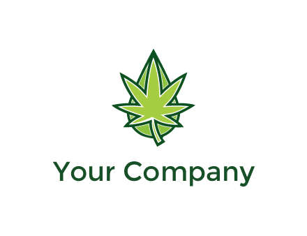 water droplet behind marijuana leaf