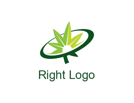 marijuana leaf in swoosh leaf
