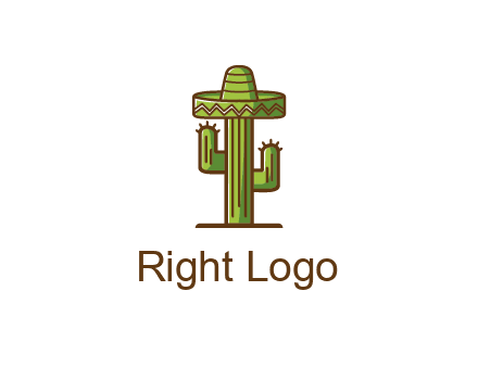 cactus wearing Mexican hat