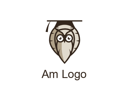 owl wearing scholar hat