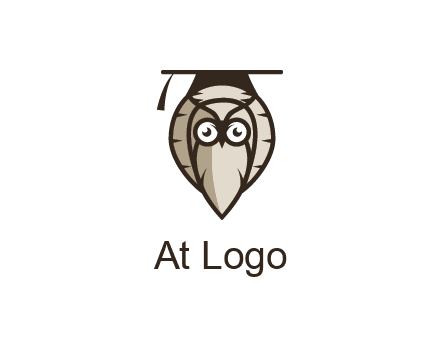owl wearing scholar hat