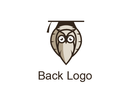 owl wearing scholar hat
