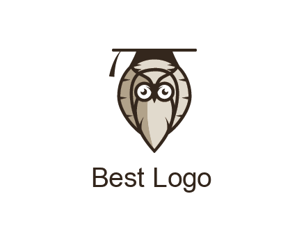 owl wearing scholar hat