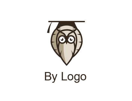 owl wearing scholar hat