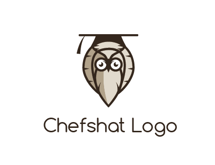 owl wearing scholar hat