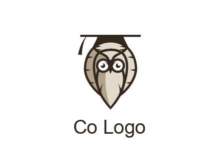 owl wearing scholar hat