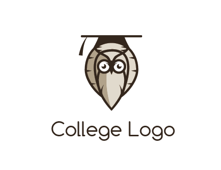 owl wearing scholar hat