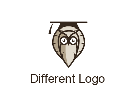 owl wearing scholar hat