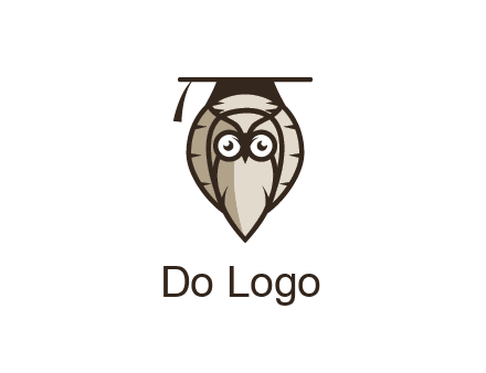 owl wearing scholar hat