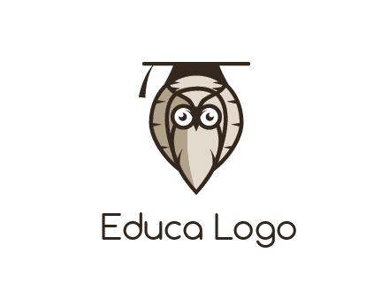owl wearing scholar hat