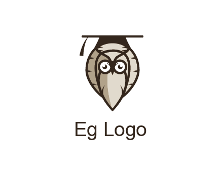 owl wearing scholar hat